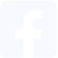 icon facebook